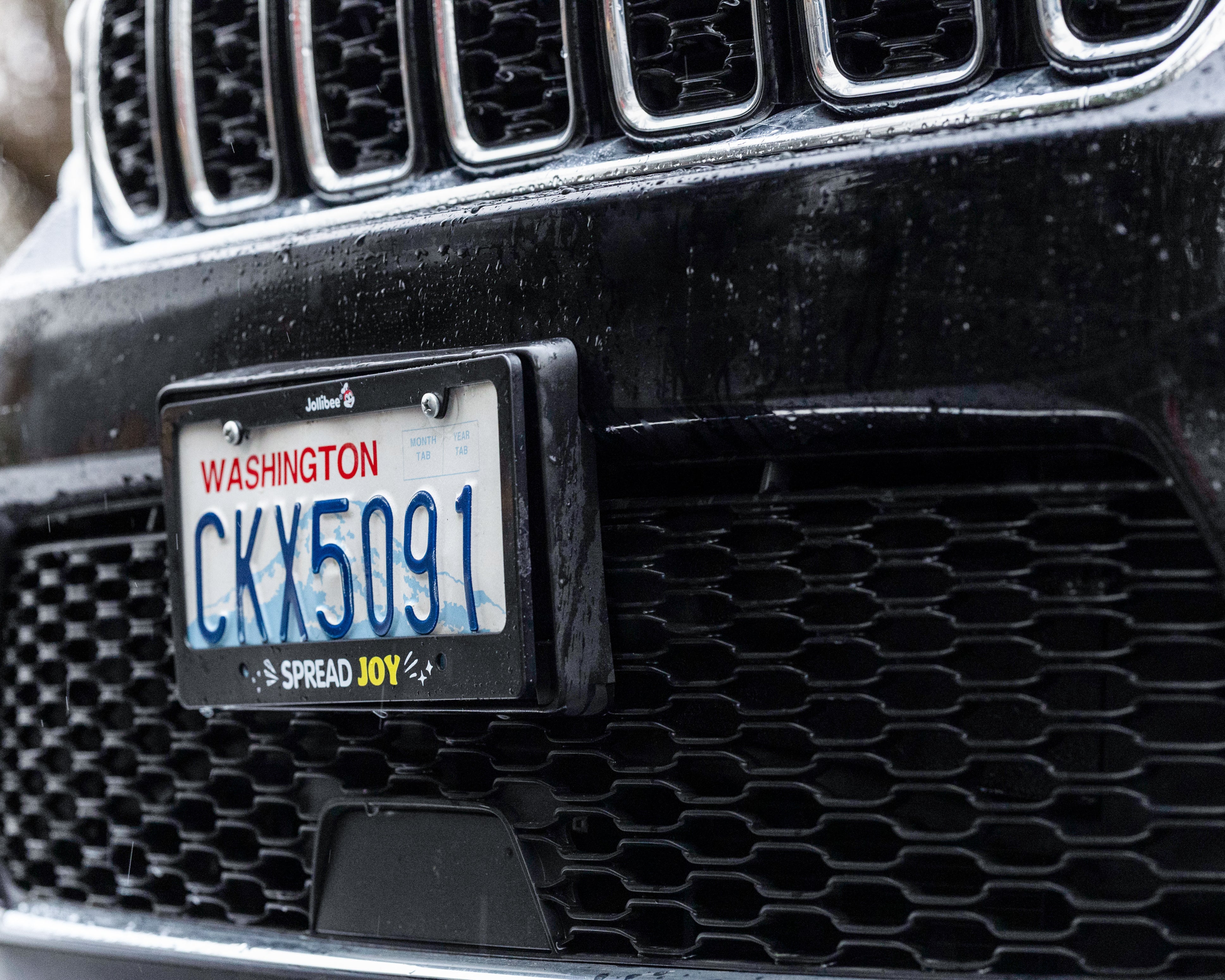 Spread Joy License Plate Cover