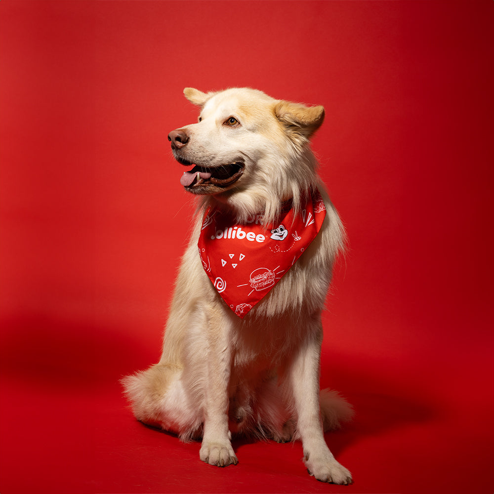 dog wearing the Red Dog Bandana