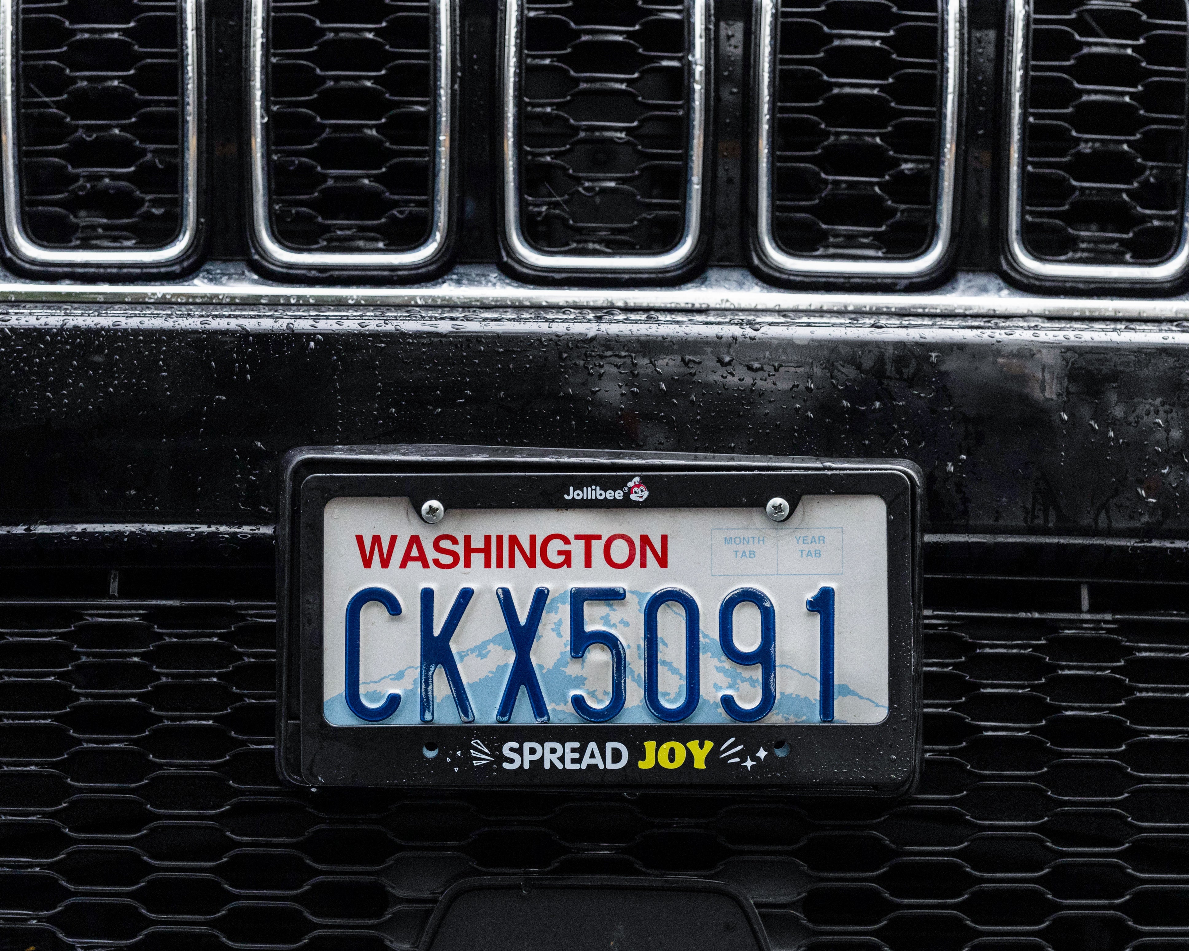 Spread Joy License Plate Cover
