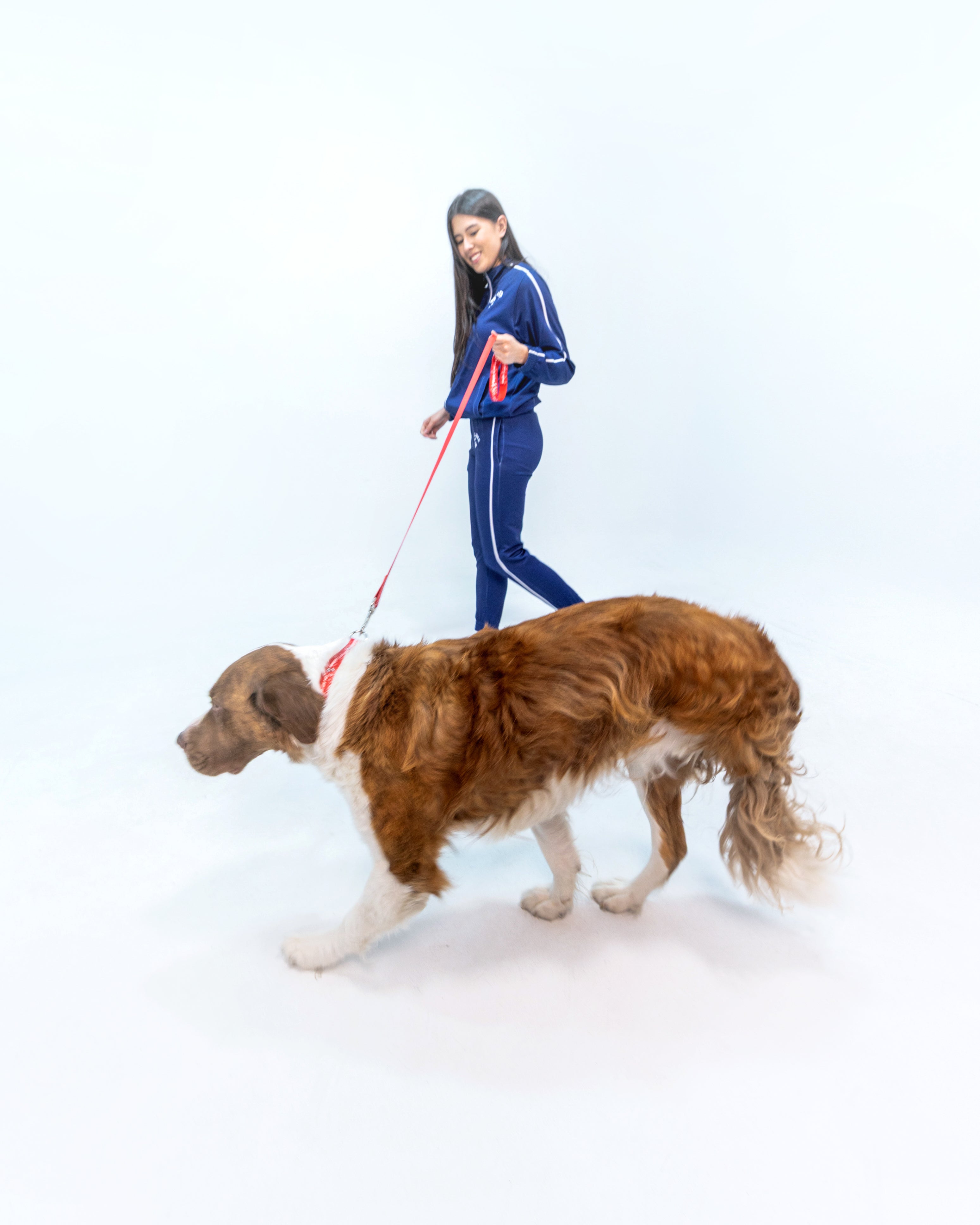 On My Way to Jollibee Pet Leash hover figure